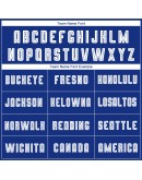 Best Pro Custom Light Blue White-Royal Sublimation Fade Fashion Soccer Uniform Jersey