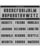 Best Pro Custom Gray Black Sublimation Fade Fashion Soccer Uniform Jersey