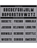 Best Pro Custom Gray Black-Camo Sublimation Soccer Uniform Jersey