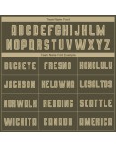 Best Pro Custom Olive Vegas Gold-Camo Sublimation Salute To Service Soccer Uniform Jersey