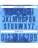 Best Pro Custom Royal Pink-Light Blue Sublimation Soccer Uniform Jersey