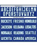 Best Pro Custom Royal White-Light Blue Sublimation Split Fashion Soccer Uniform Jersey